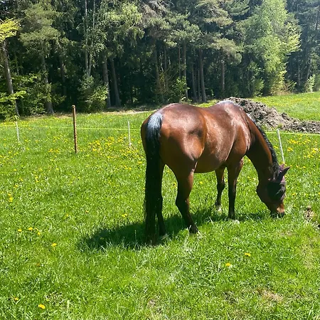 Weiderer - Stilvolle In Idyllischer Alleinlage Patersdorf