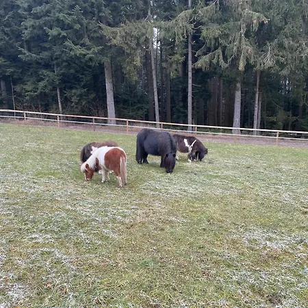 Weiderer - Stilvolle In Idyllischer Alleinlage Appartamento Patersdorf