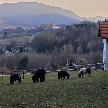 Weiderer - Stilvolle In Idyllischer Alleinlage