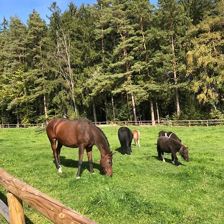 Weiderer - Stilvolle In Idyllischer Alleinlage Patersdorf